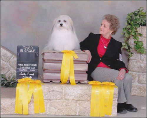 dog photo