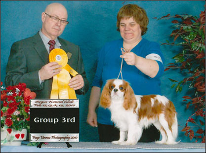 dog photo