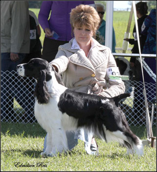 dog photo