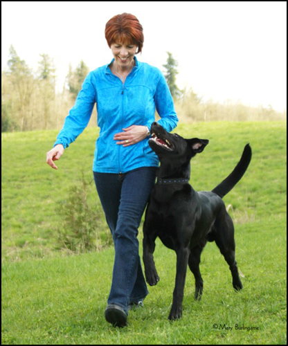 dog photo