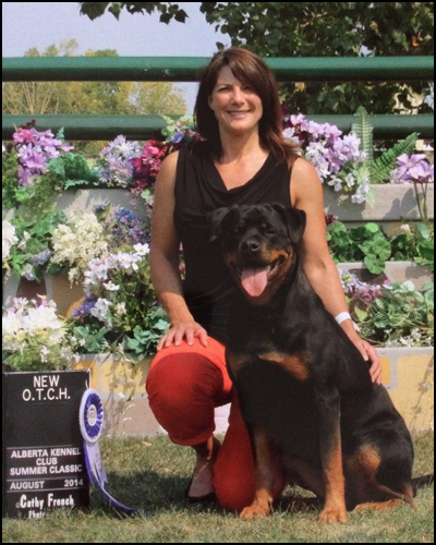 dog photo