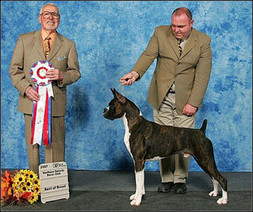 dog photo