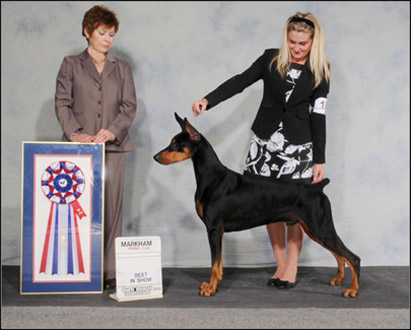 dog photo