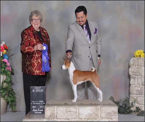 dog photo