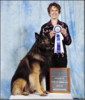 dog photo