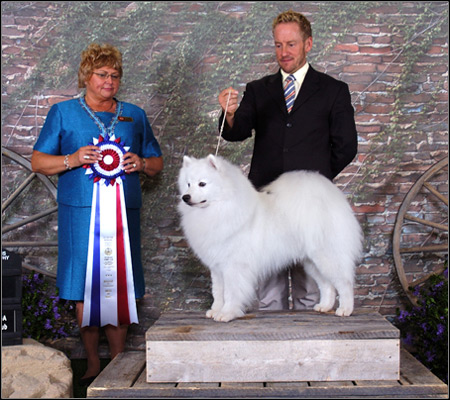 dog photo