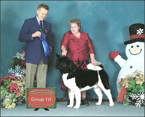 dog photo