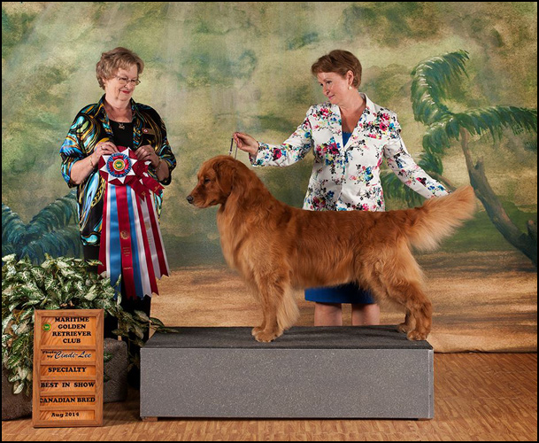 dog photo