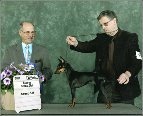 dog photo
