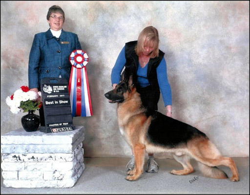 dog photo