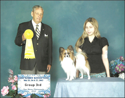 dog photo
