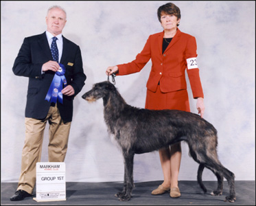 dog photo