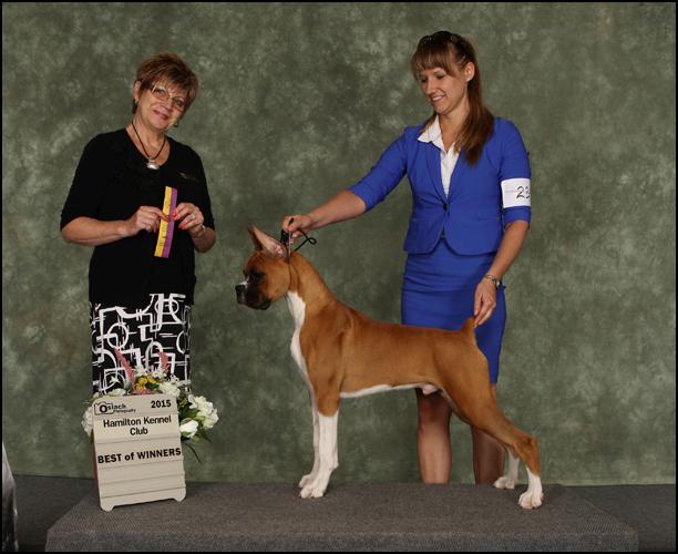 dog photo