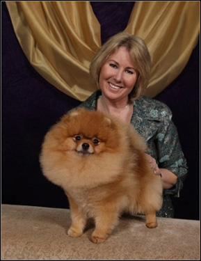 dog photo