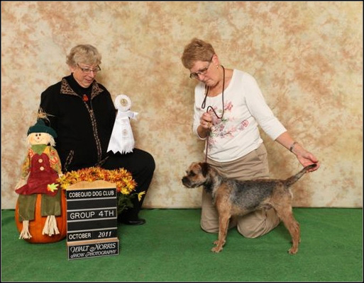 dog photo