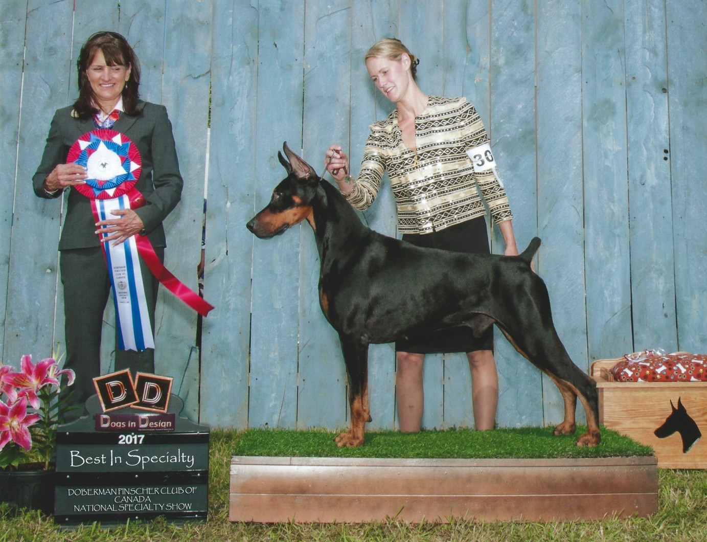 Canuck Dogs Your source for Canadian dog event information online.
