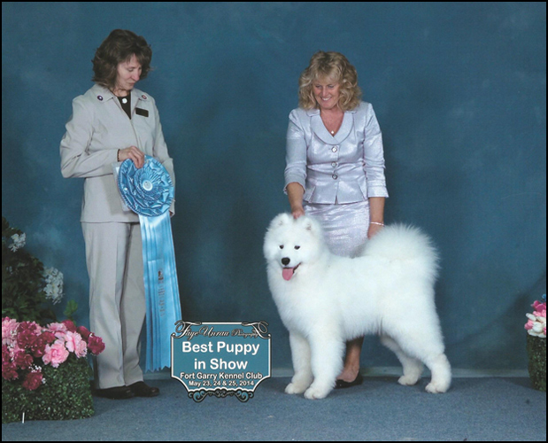 dog photo
