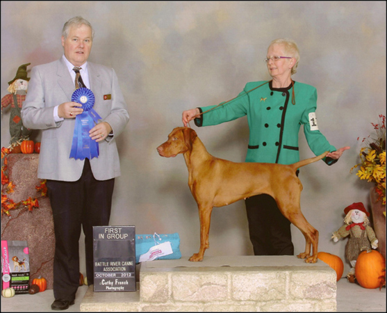 dog photo