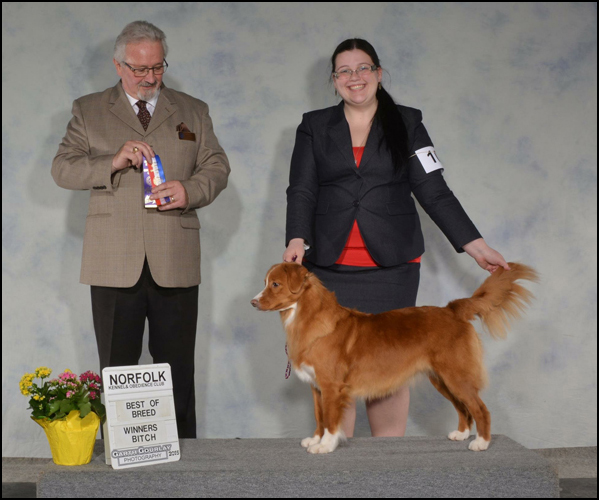 dog photo