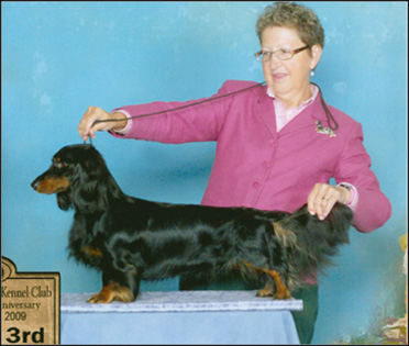 dog photo