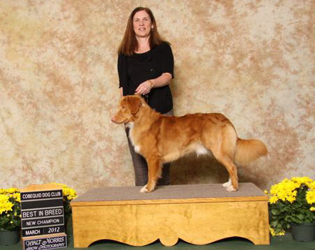 dog photo