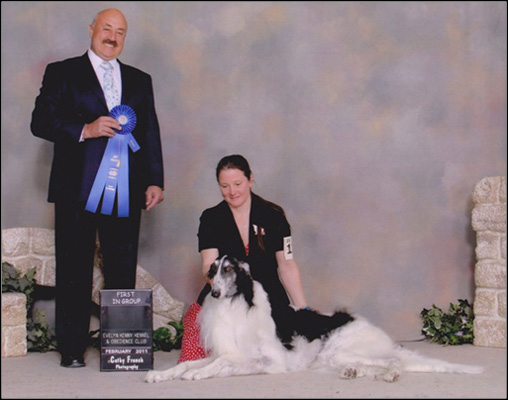 dog photo