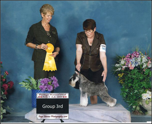 dog photo