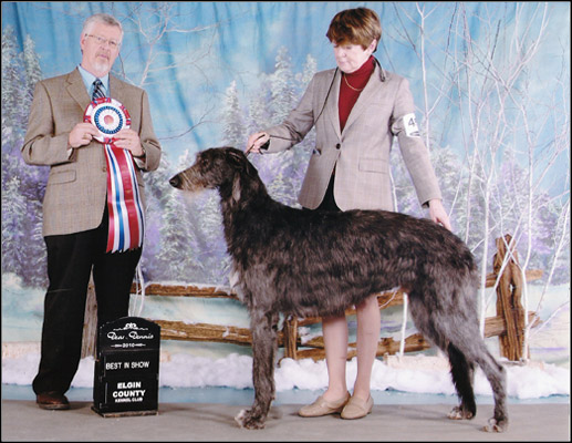 dog photo