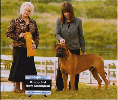 dog photo