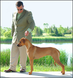 dog photo