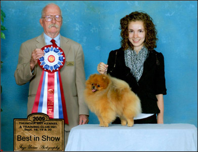 dog photo