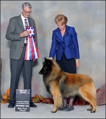 dog photo