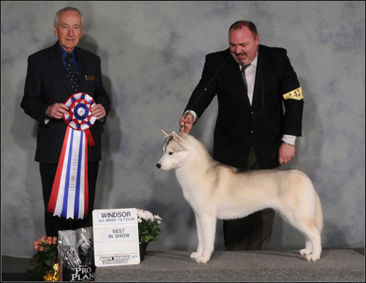 dog photo