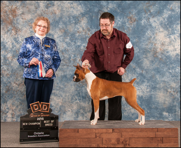 dog photo