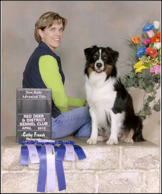 dog photo