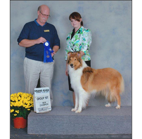 dog photo