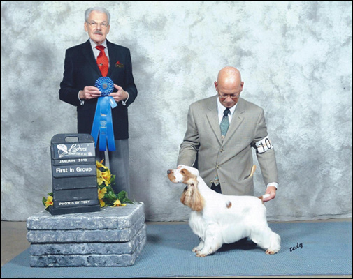 dog photo