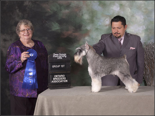 dog photo