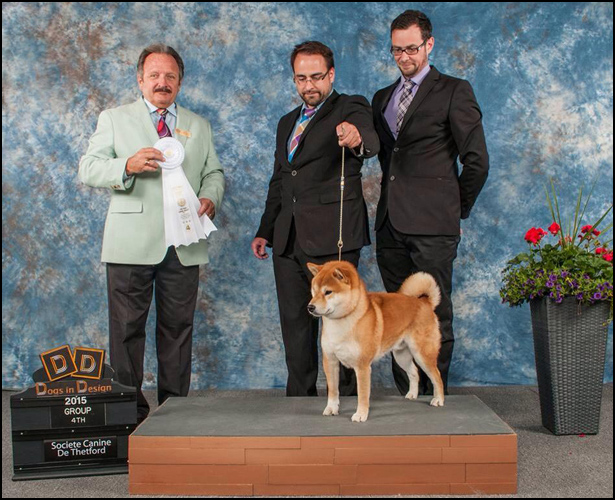 dog photo