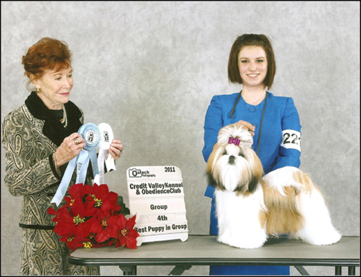 dog photo
