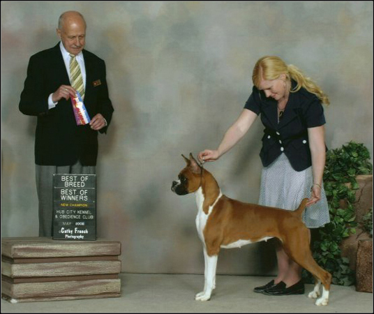 dog photo