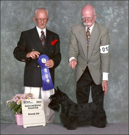 dog photo