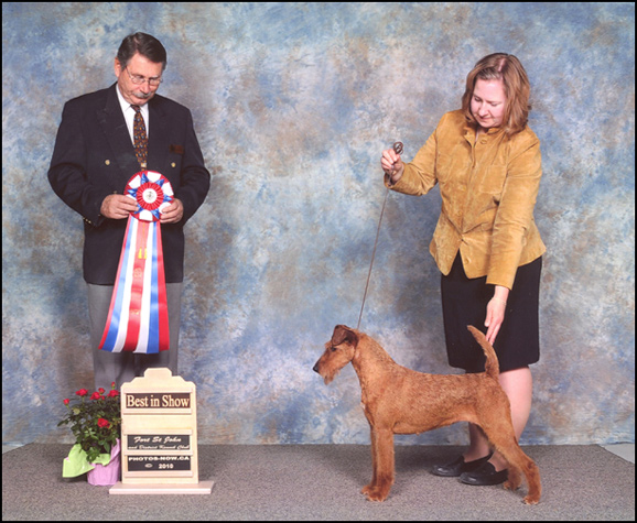 dog photo