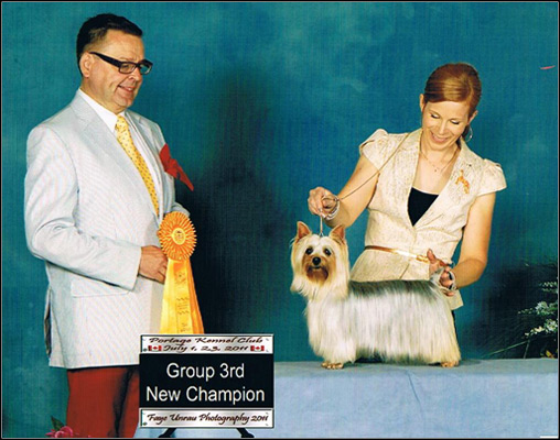 dog photo