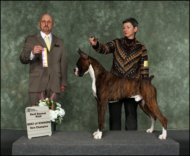 dog photo
