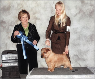 dog photo