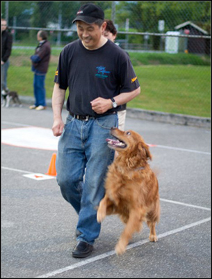 dog photo