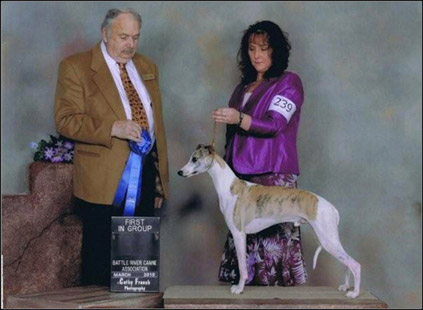 dog photo