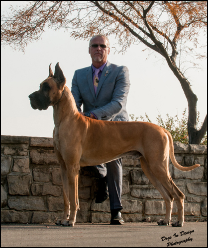 dog photo