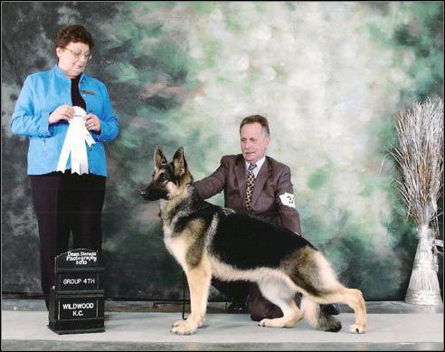 dog photo